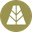 Agora